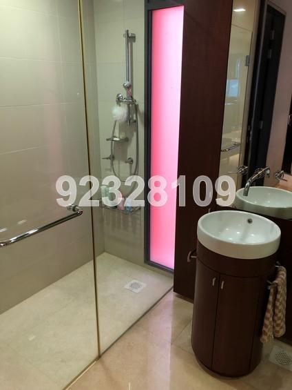 Residences At 338A (D9), Apartment #163499942